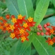 yogadarla's picture