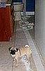 Tootsie...tootsie...tootsie...