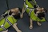 The kids and their stylish life jackets