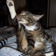 kittyink's picture
