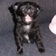 shopcora's picture