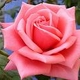 JGLAM's picture