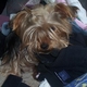 nataliasturtz's picture
