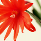 limeibianyi's picture