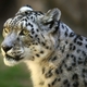 TahitiMoo's picture