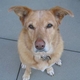 caseydog's picture
