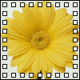 myrosyposy's picture