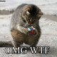 Childofthe80s's picture