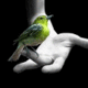 Taniusik's picture