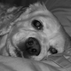 Zoe Girl's picture