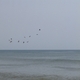 downtowngirl08's picture