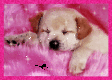 ymp310's picture
