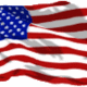 steldog1's picture