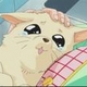 TheApathy's picture