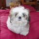 VFR02's picture