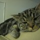 sweet feet's picture