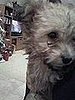 hi, i' gamble and i'm brand new to the family!
