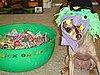happy halloween! ;) from coco the witch