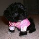 Catryse's picture