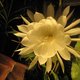 carole6860's picture