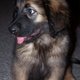 bonzia's picture
