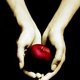 heart3000's picture