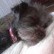 jillbill's picture