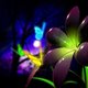 amvar's picture