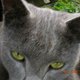 LilLucyT21's picture