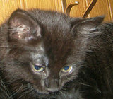 betty