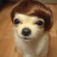 lovebug88's picture