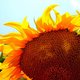 photoist's picture
