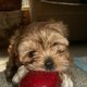 momster's picture