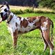 norahsm3's picture