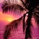 Islander71's picture