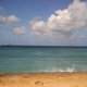 Caribe Traveller's picture