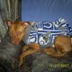 hjn619's picture