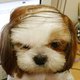 winkyface's picture