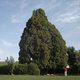 Al622's picture