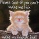 blackbutterfly72's picture