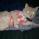 Miss Wally's picture