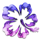hibiscus96818's picture