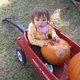 nikkisearcy's picture