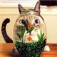 julie08's picture
