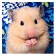 cocopuff80's picture