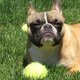 minicooper1's picture