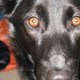 Emmaroo03's picture