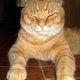 Amberlynne's picture
