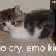 ECR0Pro0Animals's picture