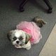 snlnotary's picture